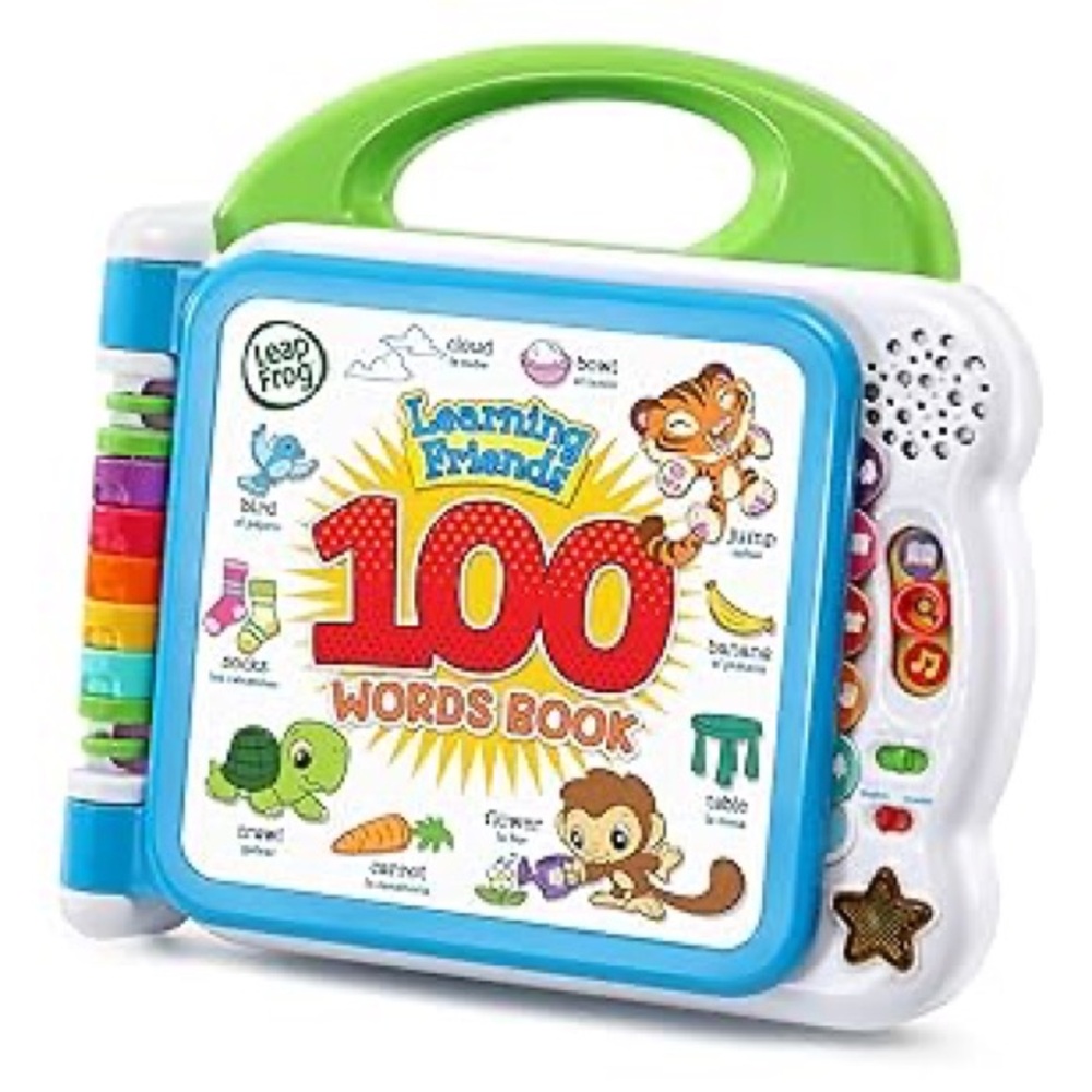 Learning Friends 100 Words Book - Green and Blue